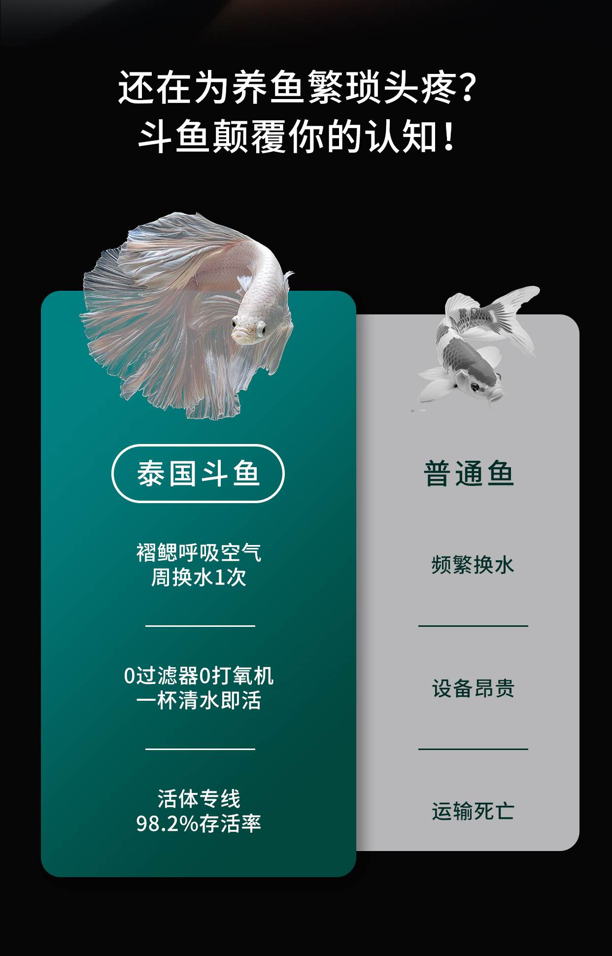 详情页_02.jpg