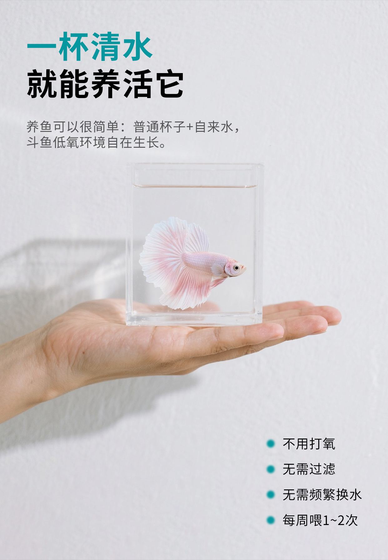 详情页_03.jpg
