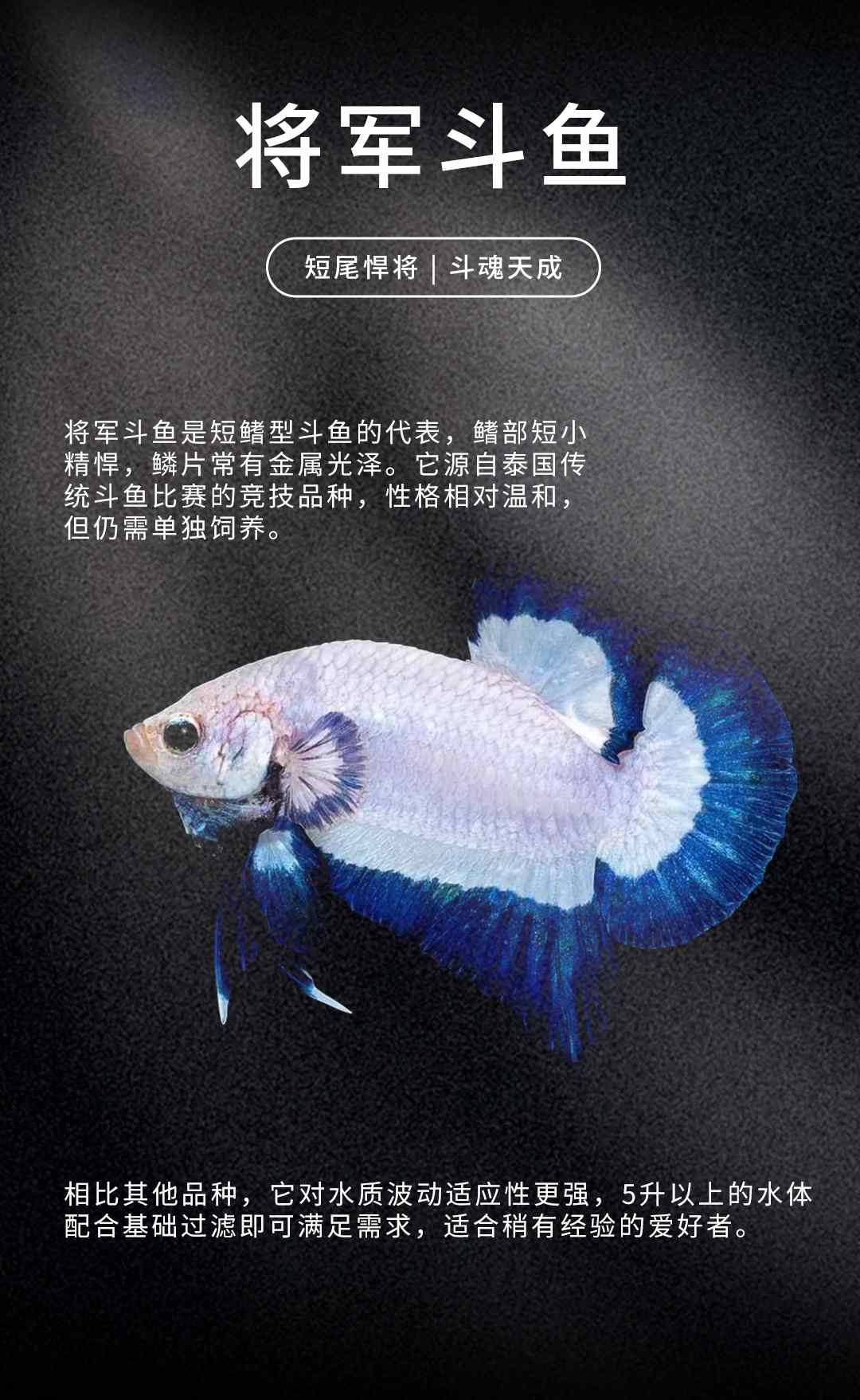详情页_06.jpg