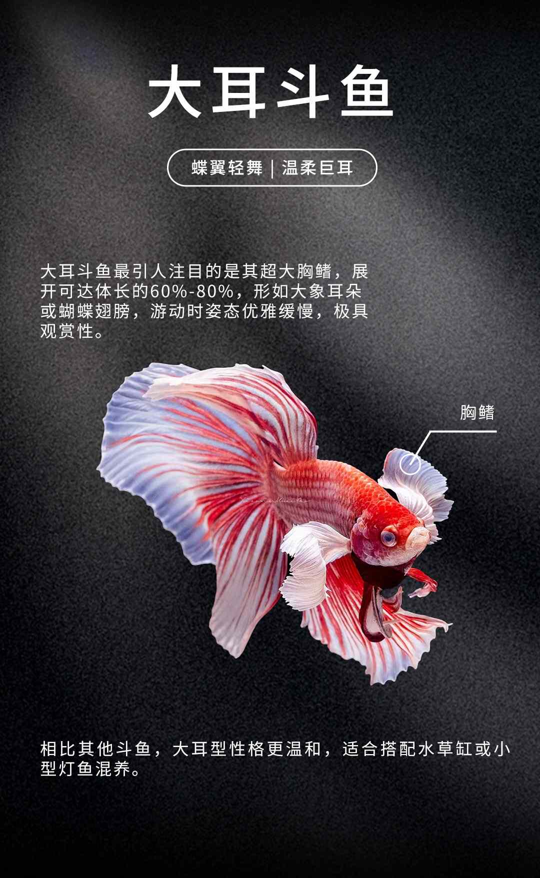 详情页_06.jpg
