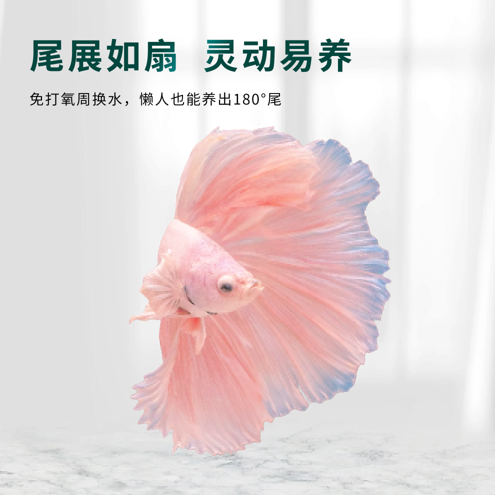 画板 2.png