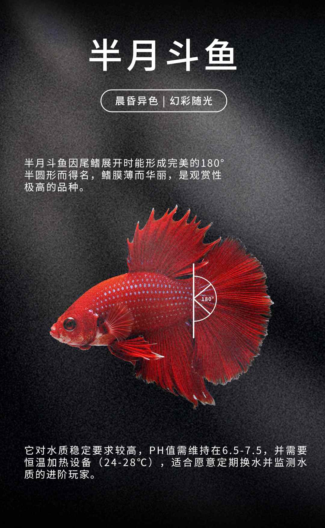 详情页_06.jpg